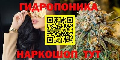 ALPHA PVP Пугачёв